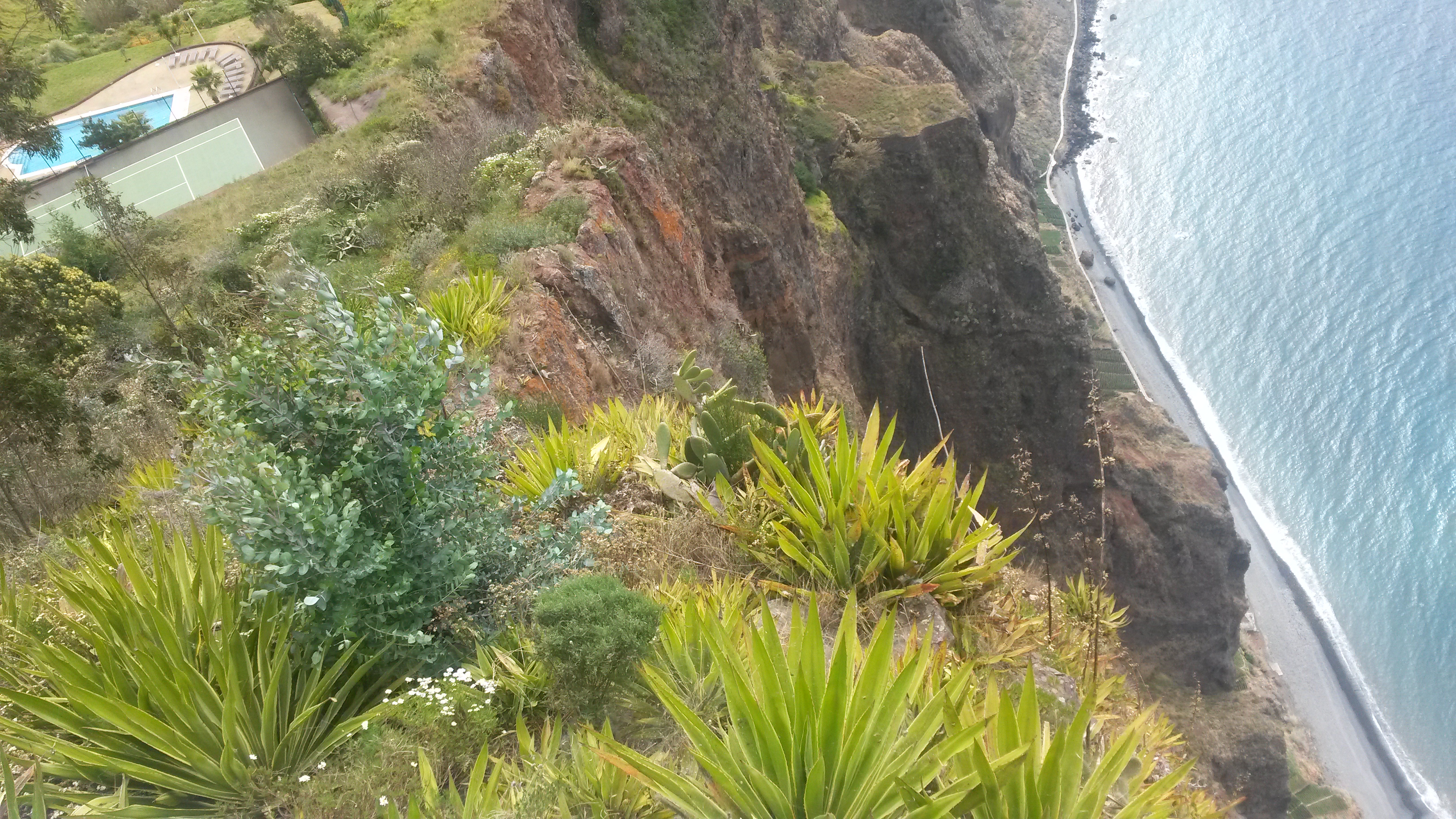 Wohin Reisen im April - nach Madeira und einen Blick riskieren