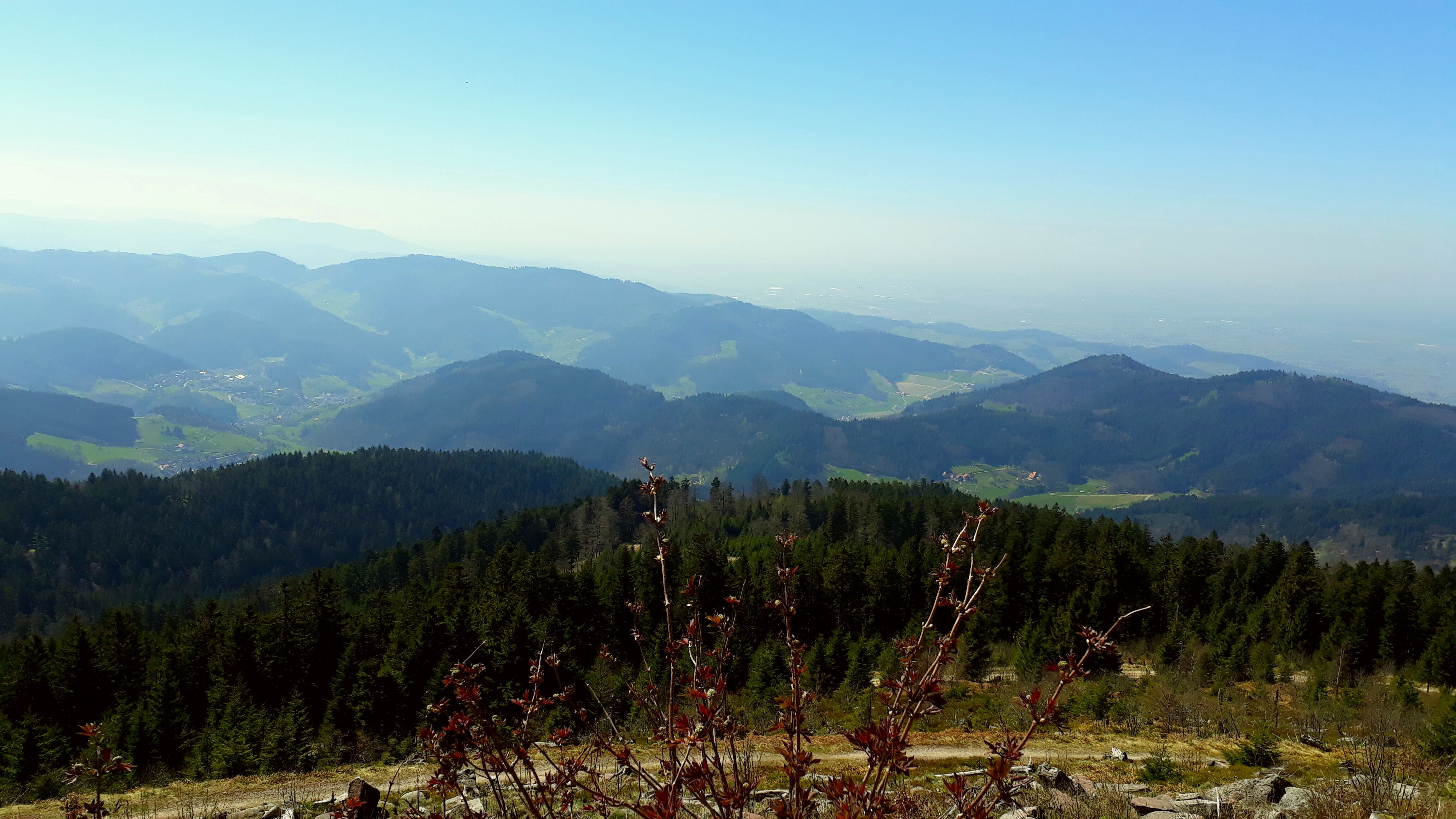 Wohin Reisen im April - zum Genießerpfad im Schwarzwald