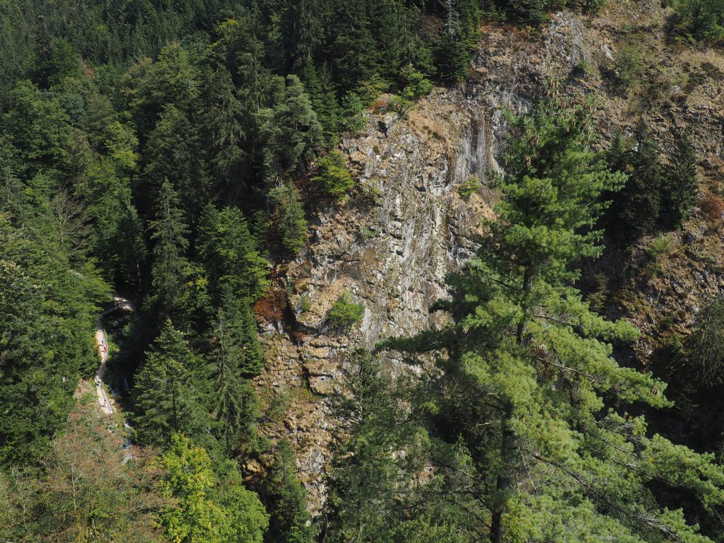 Aussicht von der Engelskanzel Allerheiligen Wasserfälle im Schwarzwald