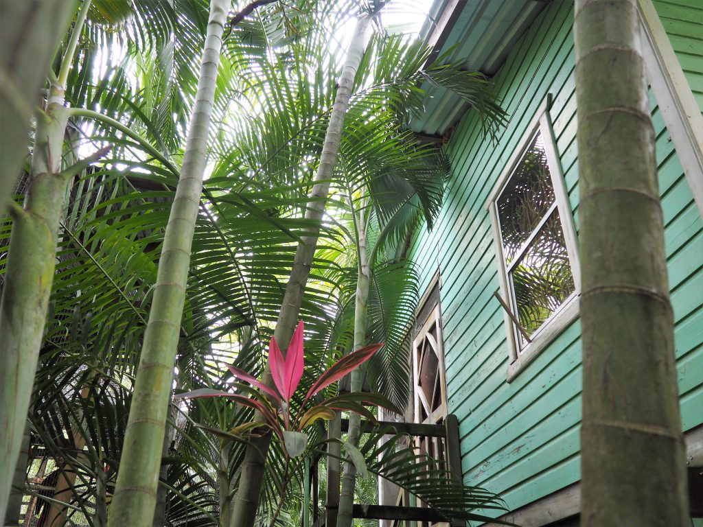 Karibisches Flair in Viktors Monkey Farm, entdeckt während unserem Landausflug auf eigene Faust auf Roatan