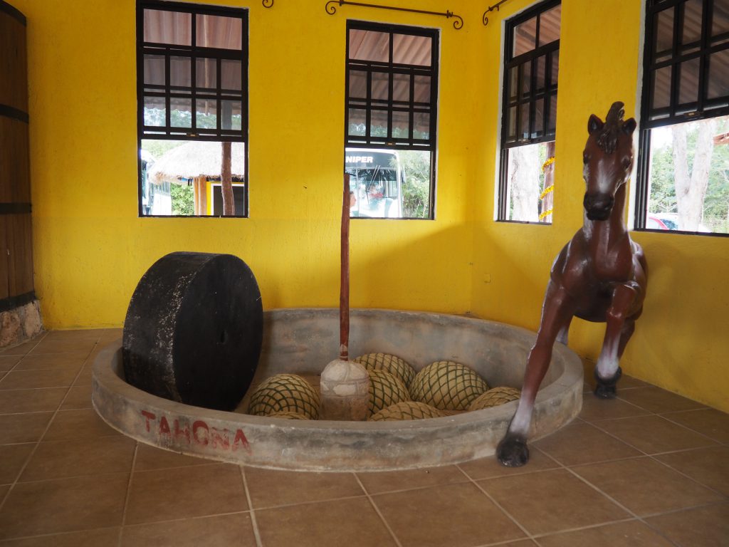 Kleines Museum auf der Tequila-Farm auf Cozumel, Landausflug auf Kreuzfahrt