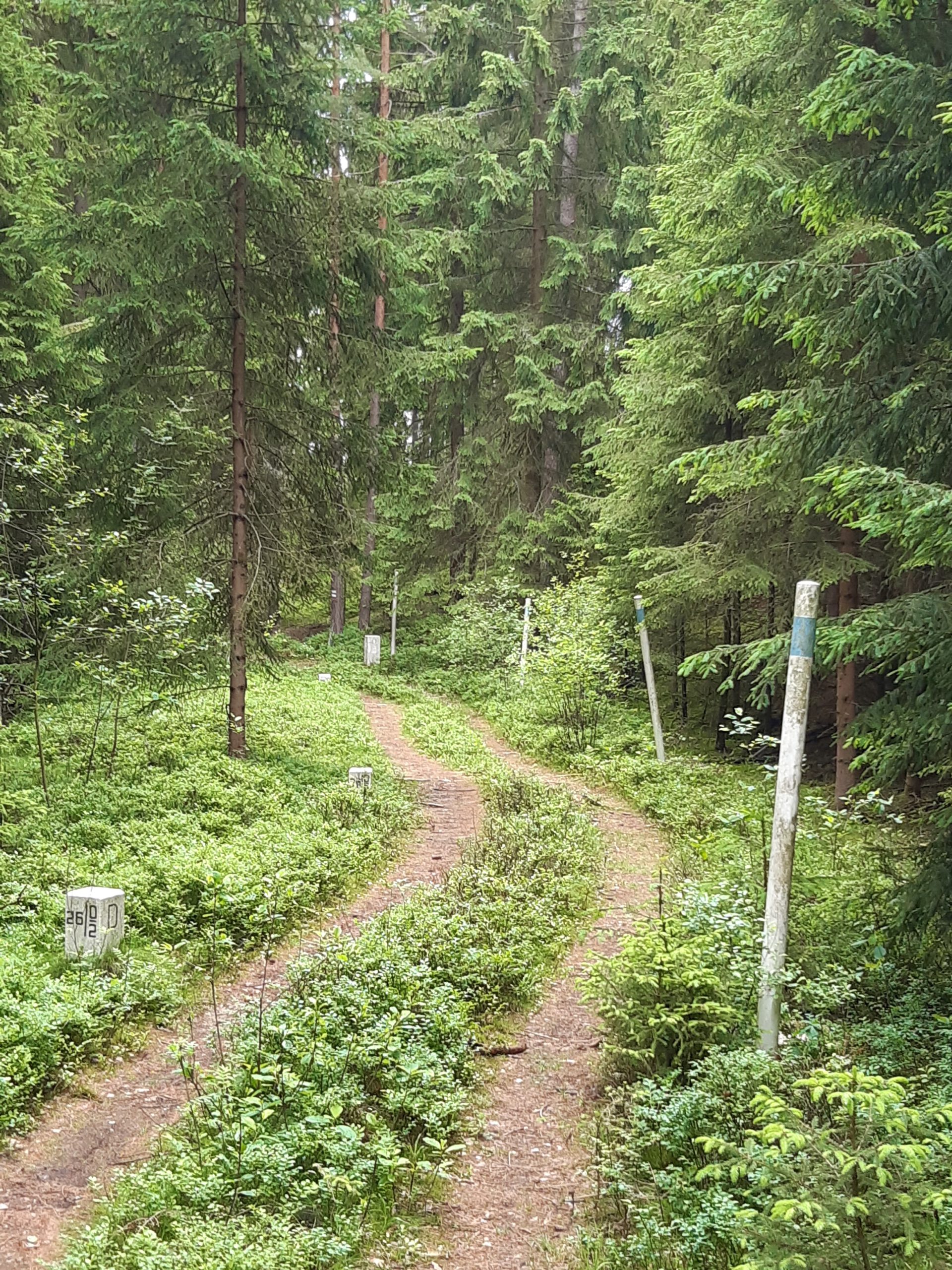 Grenzwandern in Bad Neualbenreuth