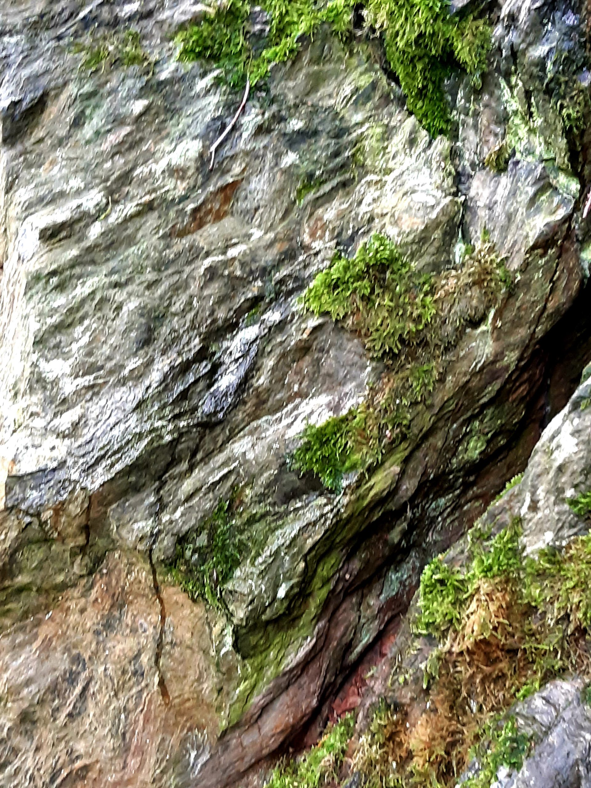 Granitfelsen Waldgesundheitstherapie Bad Neualbenreuth