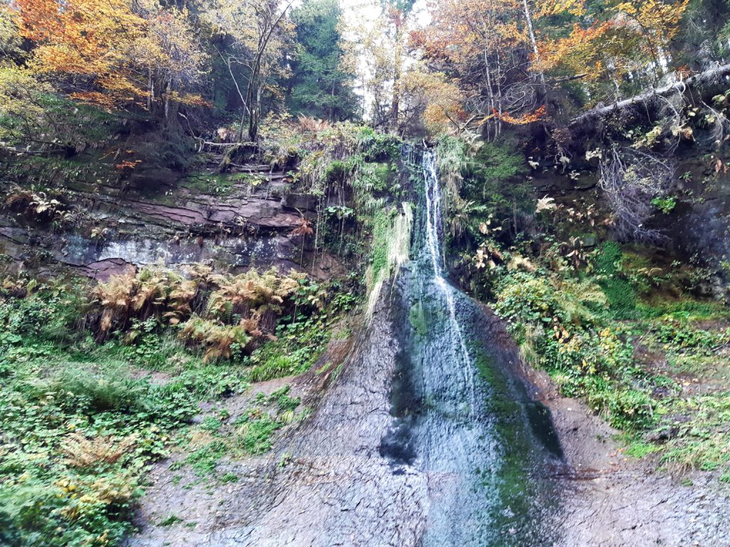 Sankenbachwasserfall Baiersbronn