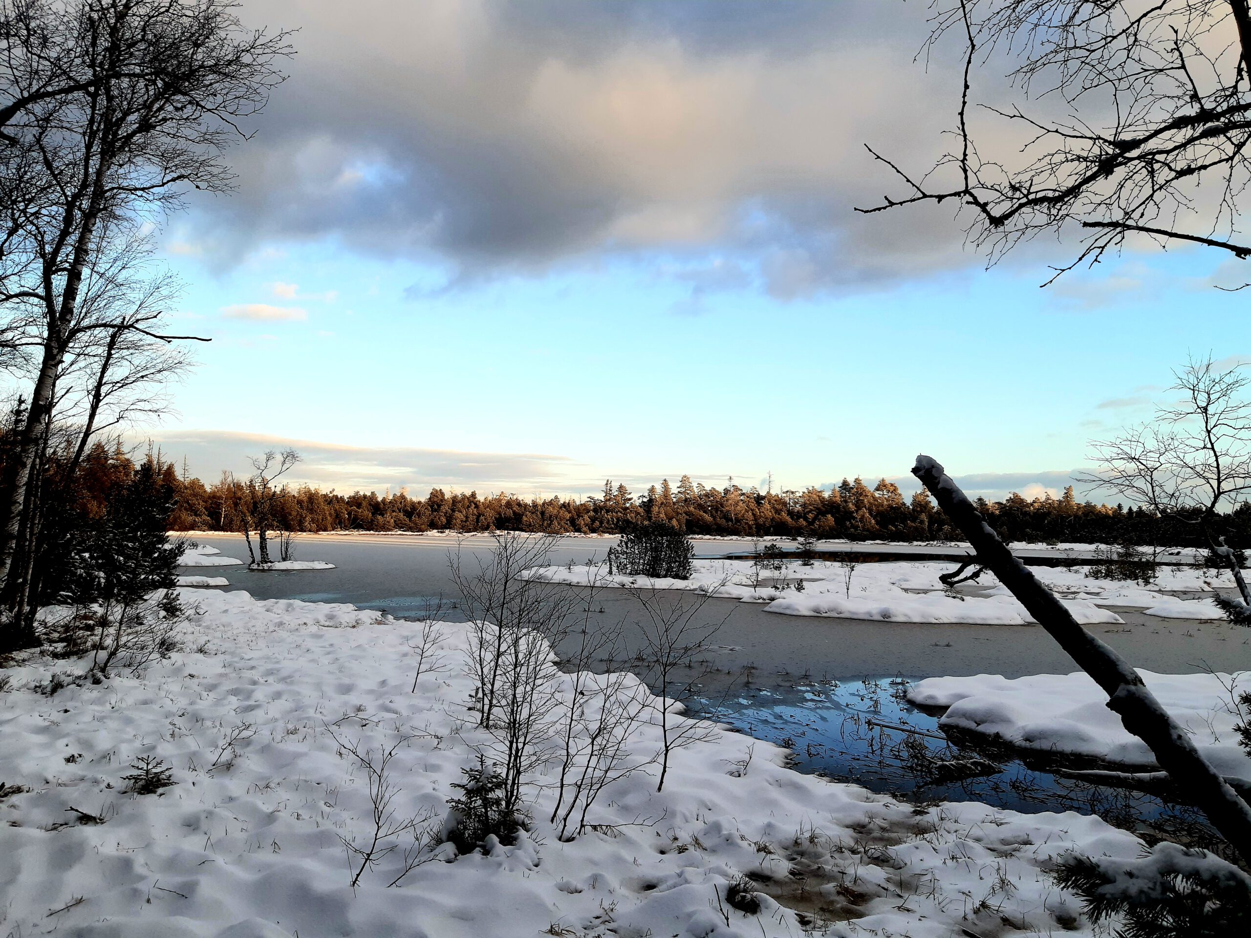 Wildsee bei Kaltenbronn im Winter