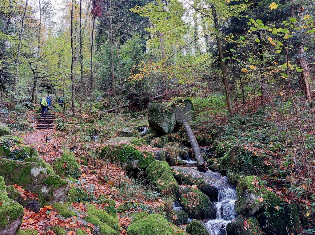 Aufstieg durch die Gaishöllwasserfälle bei Sasbachwalden
