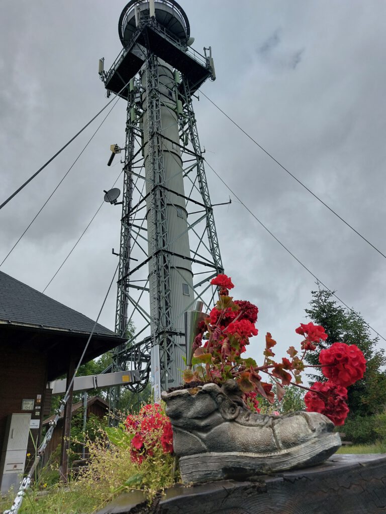 Wanderung zum Hochfirst-Turm im Hochschwarzwald