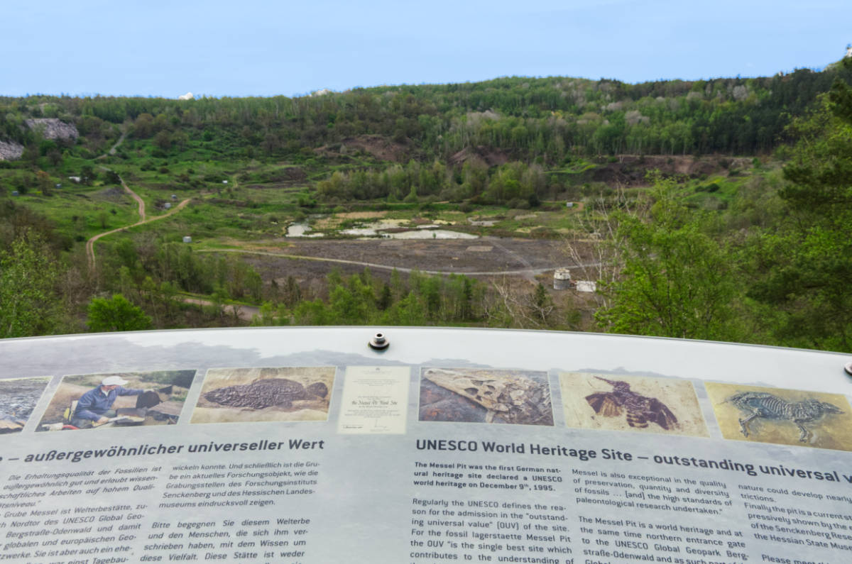 Die schönsten UNESCO-Weltetbestätten in Deutschland, die Grube Messel