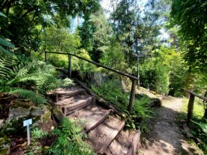 Kostenlose Ausflugsziele in Baden-Württemberg, hier der Botanische Garten der UniversitätTübingen