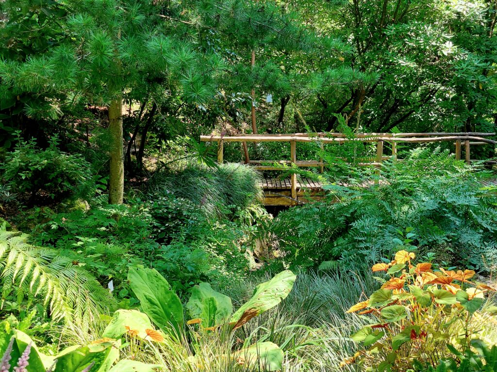 Kostenlose Ausflugsziele in Baden-Württemberg: hier der Botanische Garten der Universität Tübingen