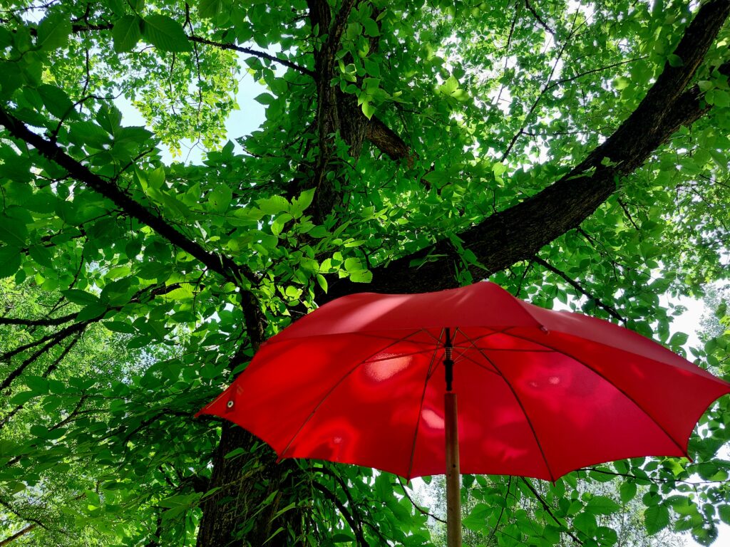 Literaturweg im Botanischen Garten der Universität Tübingen